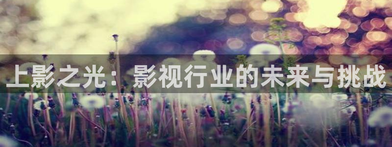 扫黑风暴 星辰影院