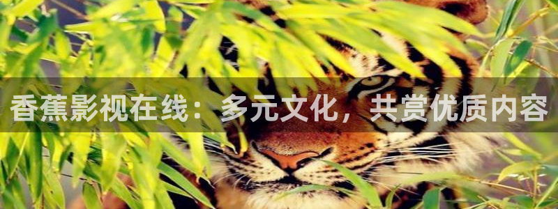 念无双电视剧免费观看星辰影院：香蕉影视在线：多元文化，共赏优质内容