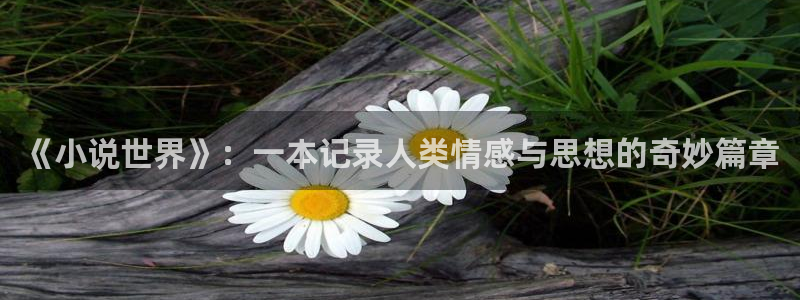 醉玲珑电视剧星辰影院：《小说世界》：一本记录人类情感与思想的奇妙篇章