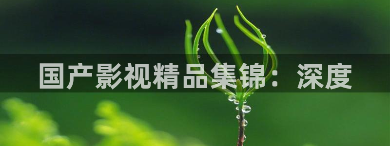 星辰影院免费高清电视剧：国产影视精品集锦：深度
