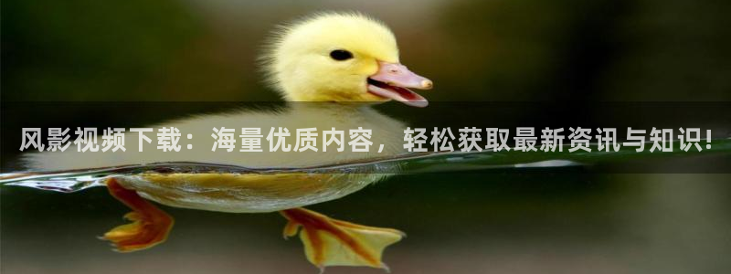 现在就出发第二季星辰影院